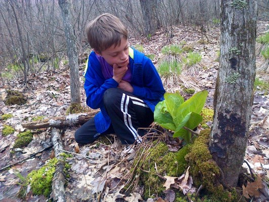 blog rummaging for ramps 12