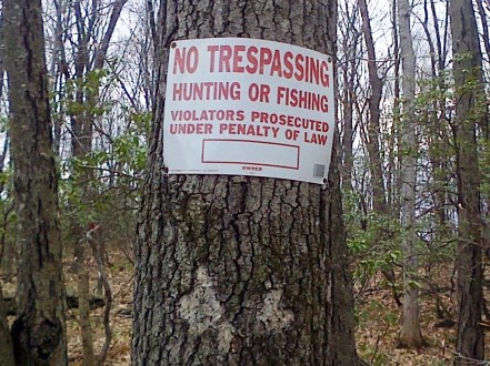 blog rummaging for ramps 15