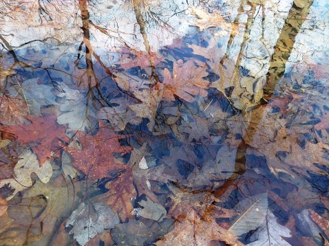 blog rummaging for ramps 16