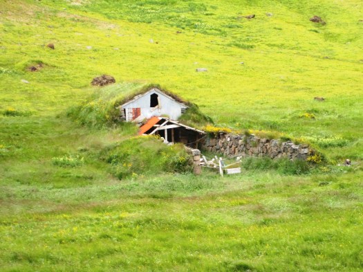Old barn with grass roof