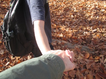 November 2015 hike hand holding