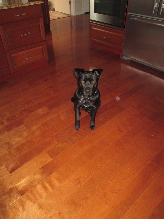 Rocco kitchen sideways