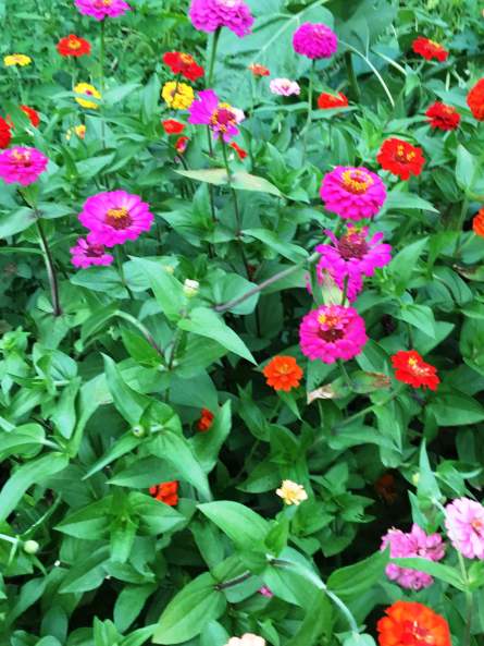 August Haiku Photo Three 3