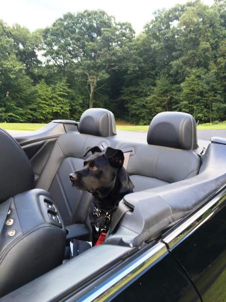 August Haiku Photo Two 2